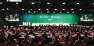 COMISIÓN PREVENTIVA ESPECIAL DE LA PROCURADURÍA VIGILARÁ LA COP16