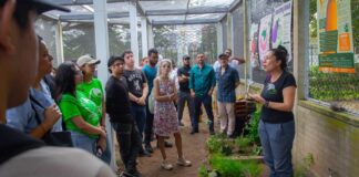 CELEBRAMOS EL ANIVERSARIO DE ECOCAMPUS: 10 AÑOS CULTIVANDO UNA CULTURA DE SOSTENIBILIDAD