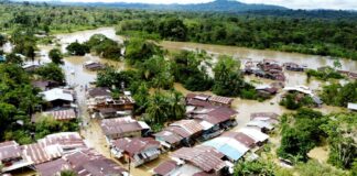 DESPUÉS DE UNA SEMANA EL ELN ANUNCIÓ EL FIN DEL PARO ARMADO EN EL CHOCÓ