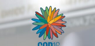 BALANCE POSITIVO SOBRE SEGURIDAD Y GESTIÓN DEL RIESGO EN LA COP16