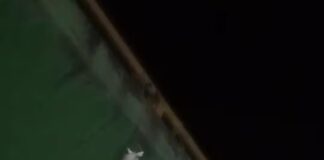 ¡ATERRADOR! TRES SACOS CON UN CUERPO DESMEMBRADO FUERON COLGADOS DE UN PUENTE EN EL VALLE DEL CAUCA