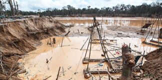 PROCURADURÍA PRESENTARÁ INFORME SOBRE MINERÍA ILEGAL Y CONTAMINACIÓN POR MERCURIO