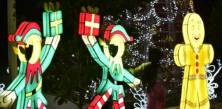 ESTAS SON LAS RECOMENDACIONES PARA CUIDAR EL ALUMBRADO NAVIDEÑO DE BARRANQUILLA