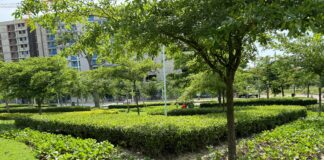 BARRANQUILLA RECIBIÓ SELLO VERDE POR SU COMPROMISO CON EL CAMBIO CLIMÁTICO