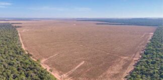 PROCURADURÍA LANZÓ NUEVA HERRAMIENTA TECNOLÓGICA PARA REFORZAR LA LUCHA CONTRA LA DEFORESTACIÓN EN LA AMAZONÍA
