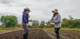 INFORME DE LA PROCURADURÍA, CONTRALORÍA Y DEFENSORÍA DENUNCIA BARRERAS DE GÉNERO EN EL ACCESO A LA TIERRA PARA MUJERES RURALES