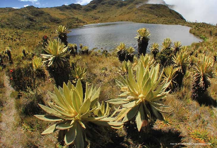 Indagación a funcionarios del minambiente por incumplimiento a orden para delimitar el páramo de santurbán