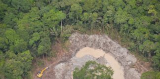 MINERÍA ILEGAL AFECTA A 29 DE LOS 32 DEPARTAMENTOS DE COLOMBIA, SEGÚN INFORME DE LA PROCURADURÍA
