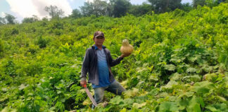 ONU DIO PARTE DE CONFIANZA A COLOMBIA POR CUMPLIMIENTO DEL ACUERDO DE PAZ EN MATERIA DE ACCESO Y USO DE LA TIERRA
