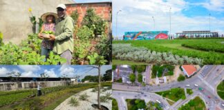 ASÍ TRABAJA BARRANQUILLA PARA MITIGAR LOS EFECTOS DEL CAMBIO CLIMÁTICO Y PROMOVER UN FUTURO SOSTENIBLE