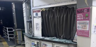 UN TEMBLOR DE MAGNITUD 6,9 SACUDIÓ EL SUDOESTE DE JAPÓN Y FUE EMITIDA UNA ALERTA DE TSUNAMI
