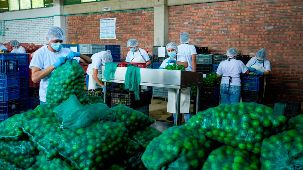 Gobierno entrega alimentos frescos a 5.000 familias en el catatumbo