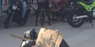 ¡NO ERA UN CADÁVER! LAS AUTORIDADES CONFIRMARON QUE LAS BOLSAS HALLADAS EN LAS NIEVES SÓLO TENÍAN BASURA