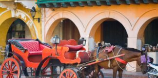 PGN REVISA AVANCES EN EL CUMPLIMIENTO DE LA SENTENCIA QUE PROTEGE A LOS CABALLOS COCHEROS EN CARTAGENA