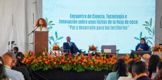 MINCIENCIAS IMPULSA EL APROVECHAMIENTO LÍCITO DE LA HOJA DE COCA