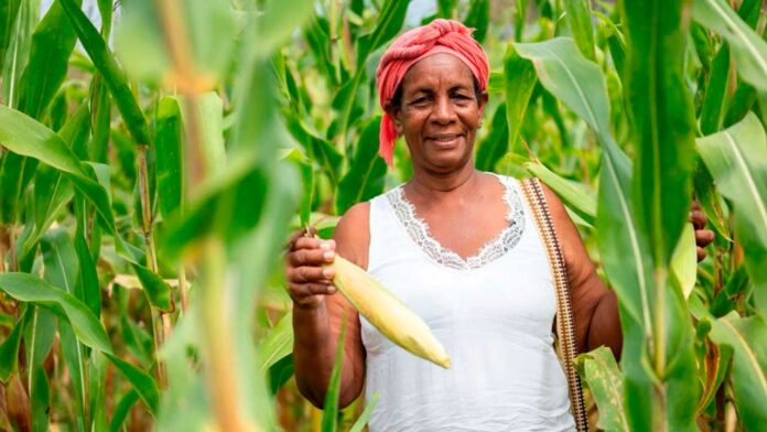 250329-proyectos-productivos-se-postularon-programa-Sembrando-Vida-Reforma-Agraria-1280