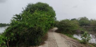 Un cadáver en avanzado estado de descomposición fue hallado en Santo Tomás