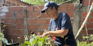 FAMILIAS DE JUAN MINA PRODUCEN SUS PROPIOS ALIMENTOS CON EL PROYECTO MI BARRIO SIEMBRA