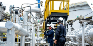 Promigas: medio siglo de excelencia y transformación en el sector energético