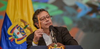 Presidente Petro anunció emergencia económica por brote de fiebre amarilla: “Es por la vida”