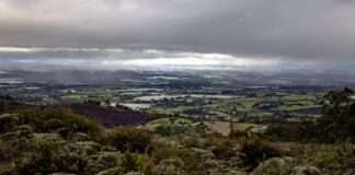 Gobierno interpuso una tutela para proteger la Sabana de Bogotá