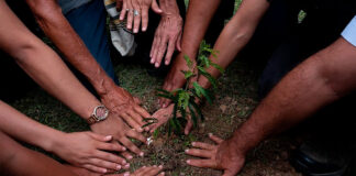 Arranca convocatoria por más de $ 38.000 millones para proyectos ambientales en Catatumbo