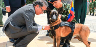 Presidente Petro promulgará las leyes Ángel y Lorenzo que fortalecen la protección animal en Colombia