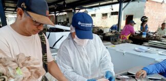 Por Semana Santa, Distrito intensifica operativos de control de alimentos