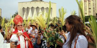 Distrito invita a celebrar el Domingo de Ramos con conciencia ambiental
