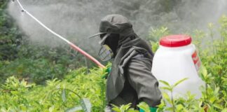 Se confirmó el proceso de compra de glifosato por parte del Gobierno Nacional