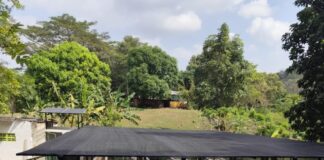 ¡Un nuevo pulmón verde para Turbaco! Cementos Argos entregó vivero bioclimático a la comunidad
