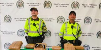 Unidades de la Policía de Tránsito incautó más de 6.000 dosis de marihuana