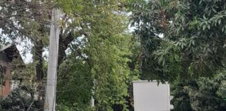 Instalan postes en un sector del barrio El Bosque en Barranquilla