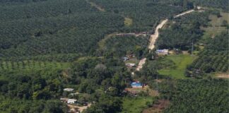 PGN recomendó que proyectos de inversión en el Catatumbo por conmoción interior deben encaminarse a conjurar los hechos que la motivaron