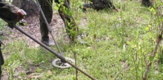 En firme condena contra integrante de las extintas Farc por fabricación y suministro de minas antipersona