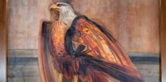 El ‘Águila’ de Obregón vuela alto en Uninorte