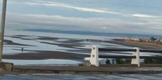 Un terremoto de magnitud 7,5 sacudió a Chile y hay alerta de tsunami