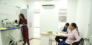 Salvando vidas de cuatro patas: veterinarios del CBA, héroes que atienden con amor y vocación a los animales