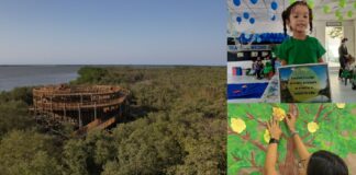 Barranquilla se une al Día Mundial del Medioambiente con actividades educativas y culturales en parques y colegios