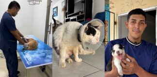 Centro de Bienestar Animal: dos años de servicio y compromiso con el bienestar animal en Barranquilla