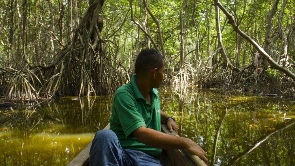 Académicos desarrollan videojuego para enseñar conciencia ambiental con parques nacionales