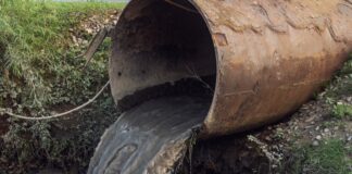 Consejo de Estado respalda acción de la Procuraduría y ordena medidas urgentes por afectación ambiental en Piedras, Tolima