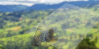 Juzgado declaró nulidad de artículo que había incluido predio ubicado en reserva forestal en Ginebra, Valle del Cauca, como de uso sub urbano