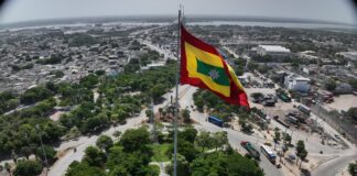 Barranquilla da la bienvenida con más color, vida y naturaleza en la calle 17
