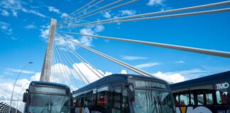 En julio, Transmetro celebra 15 años como símbolo de movilidad, sostenibilidad e inclusión