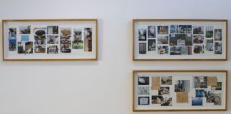 Abierta la convocatoria JAGÜEY: encuentros de arte en el Caribe