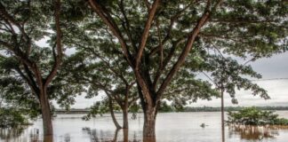 Procuraduría pidió apoyo a UNGRD para enfrentar emergencia invernal en Curillo, Caquetá