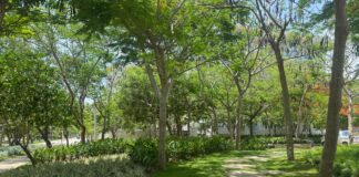 Villa Carolina reverdece con 6.000 m² de paisajismo: el parque Espejo renace como pulmón verde de Barranquilla