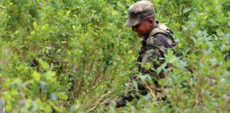 Colombia fue descertificada por Estados Unidos en la lucha contra las drogas