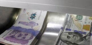 Desarticulado ‘Dinocash’, el grupo delincuencial dedicado a la falsificación a gran escala de moneda nacional y extranjera